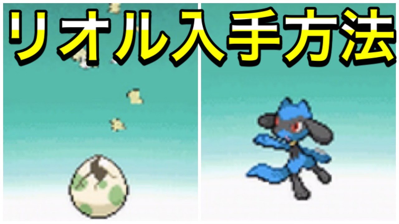 【ダイパ】リオルのたまご入手方法！ルカリオの進化条件も解説！