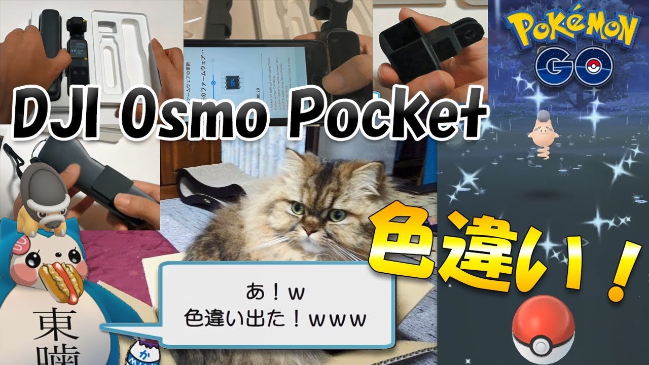 【ポケモンGO】色違いバネブー＆タテトプス＆DJI Osmo Pocket GETだぜ！？