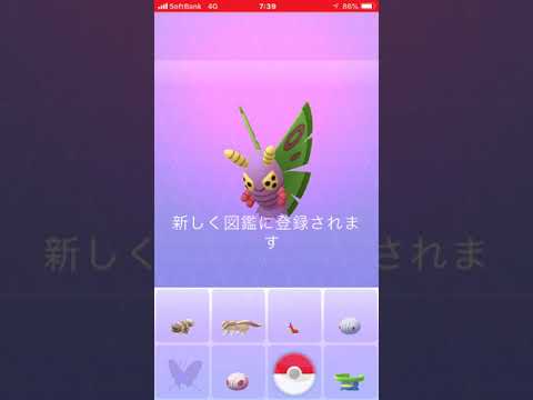 ポケモンGO  ドクケイル  アゲハント