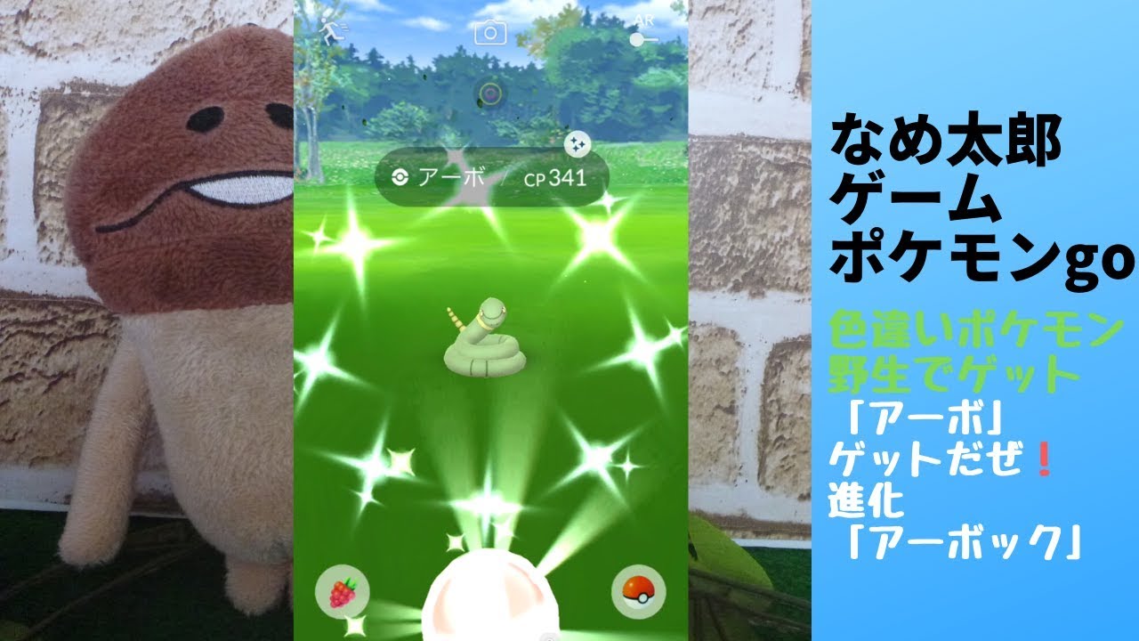 【縦画面スマホ向け】なめ太郎の色違い野生の「アーボ」ゲットだぜ！そして、「アーボック」に進化だぜ。【ポケモンgo】