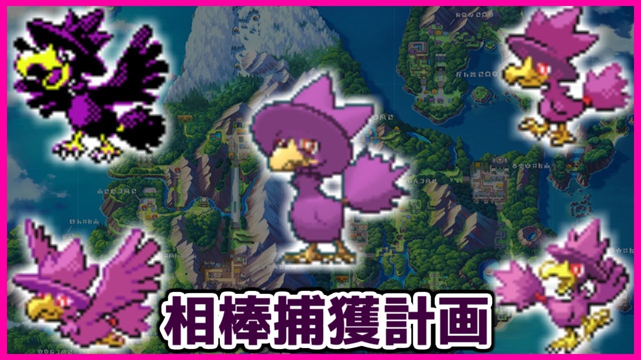 【ポケモンBDSP】色違いのヤミカラスを救いたい