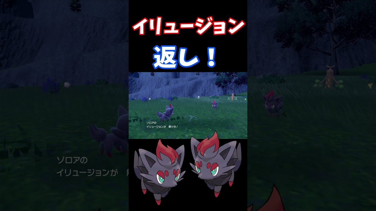 【ゾロア大量発生！？】からのゾロアークに進化！ #shorts