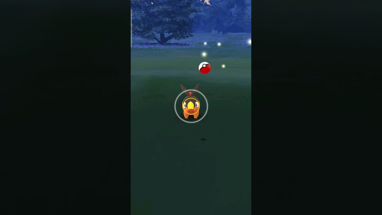 Pokemon Go caught a Tepig
