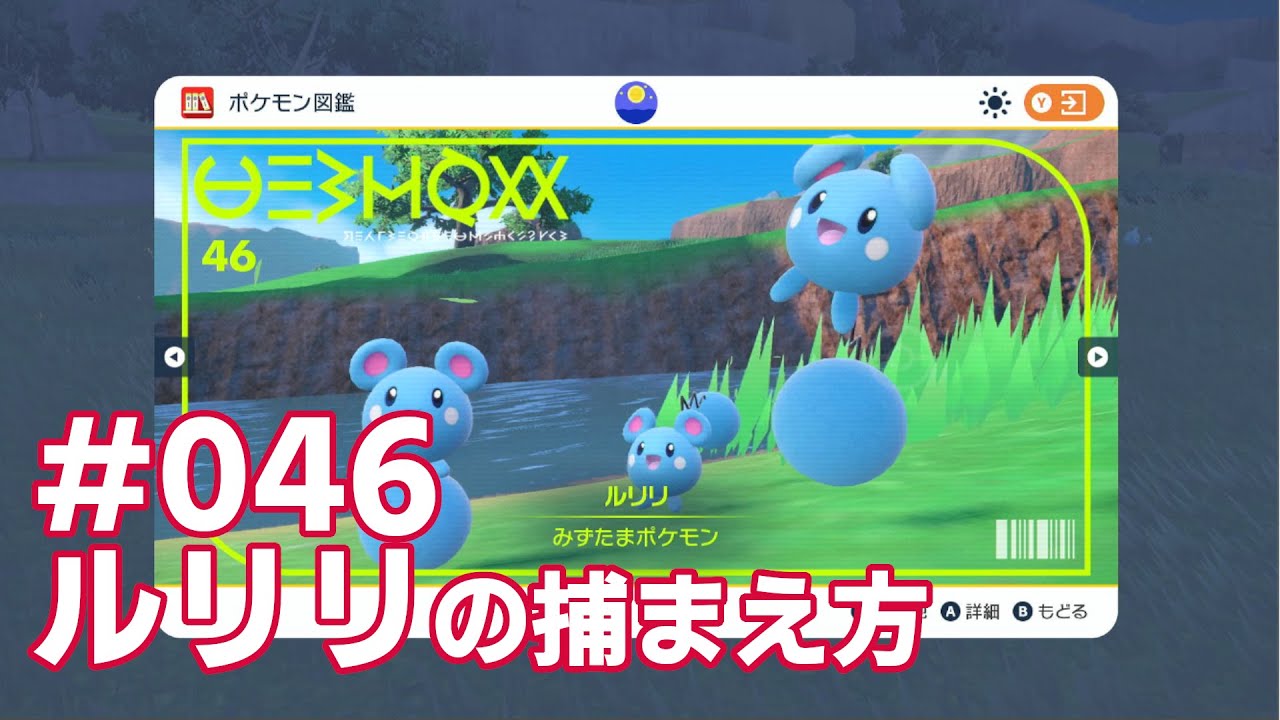 ルリリを探している方に見てほしい動画