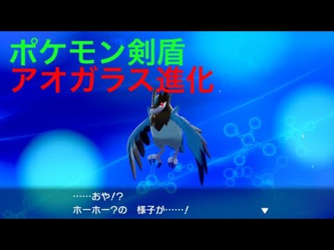 【ポケモン剣盾】ホーホー？(アオガラス)がさらに進化しました Pokémon Sword Shield