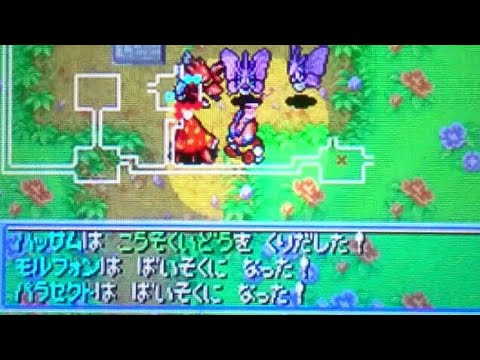 【ポケダン青】深層ポケモンできよらかなもり⑥【レディアン】