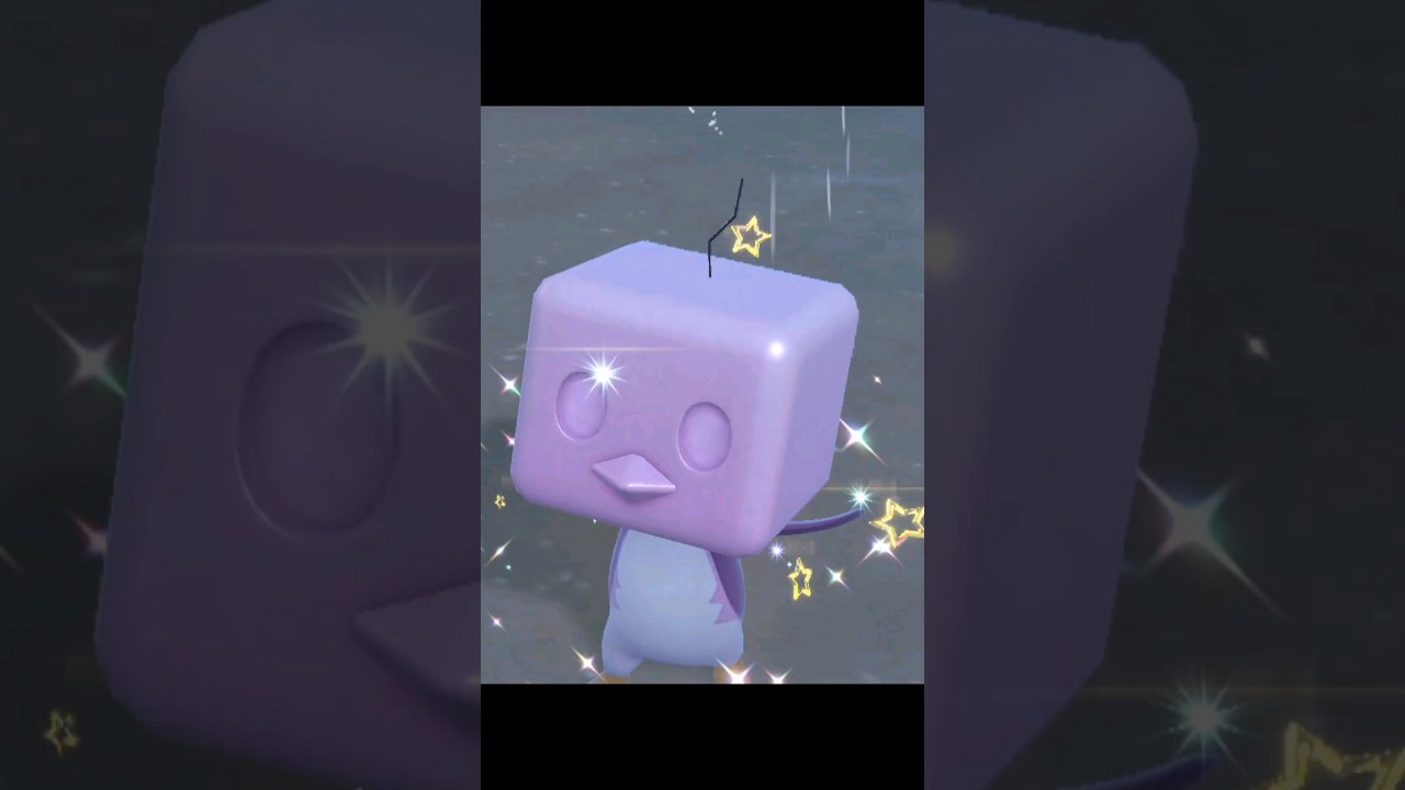 光るコオリッポ 遭遇の瞬間