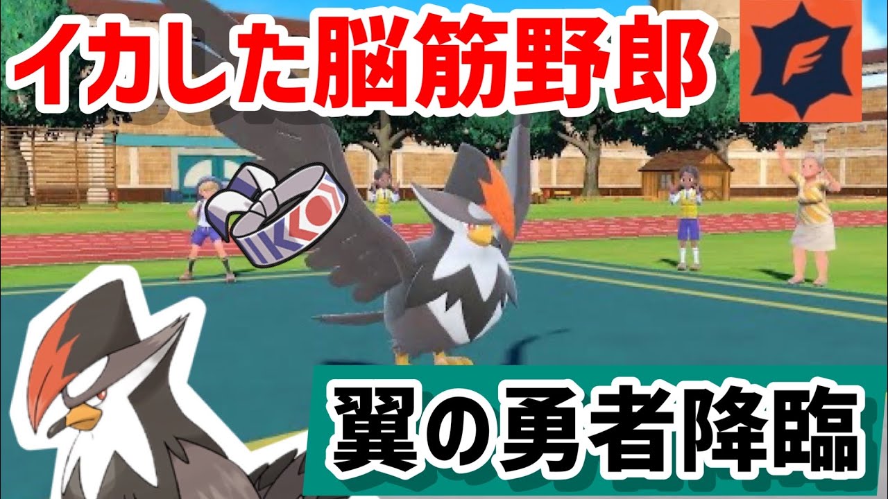 さいきょうムクホーク欲しければ見ろ！！翼の勇者たち　「ポケモンSV」