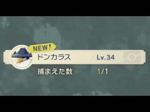 ポケモンアルセウス 飛んでいるドンカラス 捕獲 攻略 #PokemonLEGENDS Part36