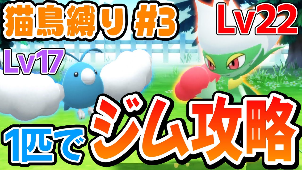 【ダイパリメイク】捕まえたばかりのチルットでハクタイジムは攻略できる？【猫鳥縛り #3】