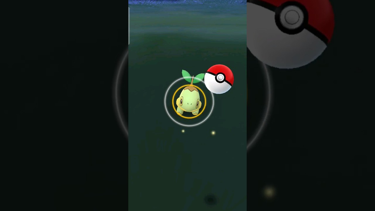 Pokemon Go caught a turtwig