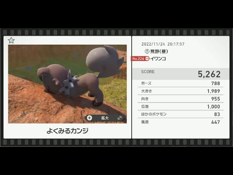 Newポケモンスナップ　★1イワンコ【5262】