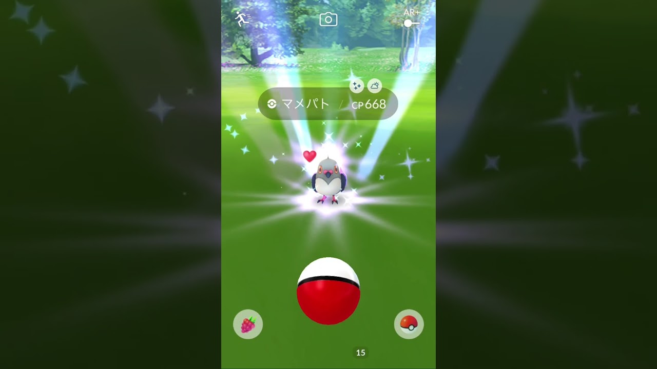 うぉ〜✨ごっつ嬉しい✨　マメパトの色違い初GET✨