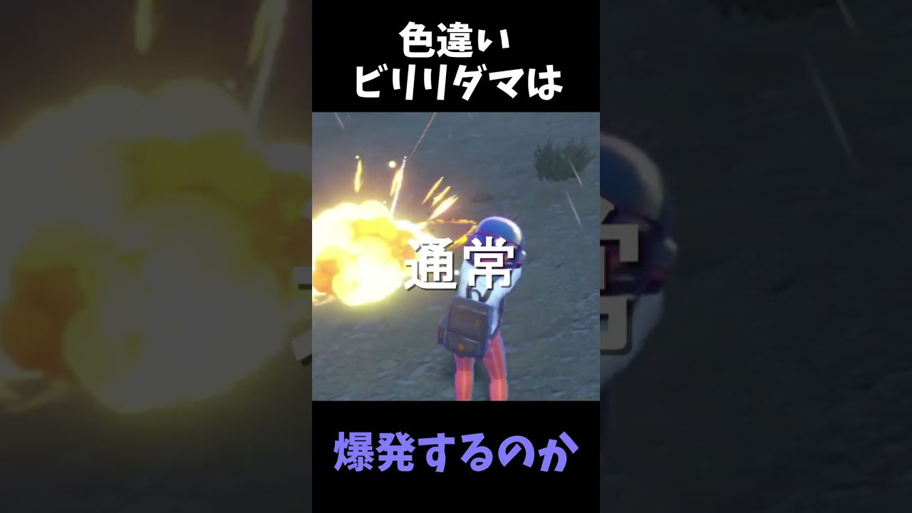 色違いビリリダマはフィールド上で爆発するのか？