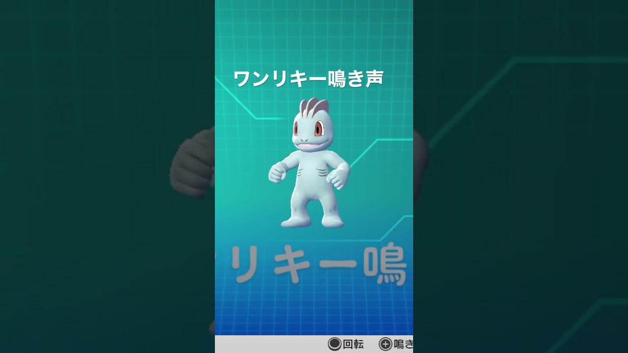 ピカブイ【図鑑NO066】ワンリキー鳴き声#ポケモン鳴き声 #図鑑コンプ #レッツゴーピカチュウ #レッツゴーイーブイ#ワンリキー鳴き声#ポケモン生態#ワンリキー動き