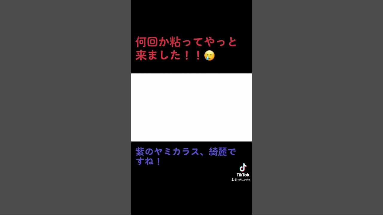 ポケトレ色違いヤミカラス