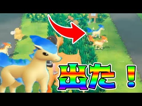 【ピカブイ】８時間放置！色違いポニータ探しが苦行だった件…。【Let's Go! ピカチュウ】 拡散のため評価👍お願いします！