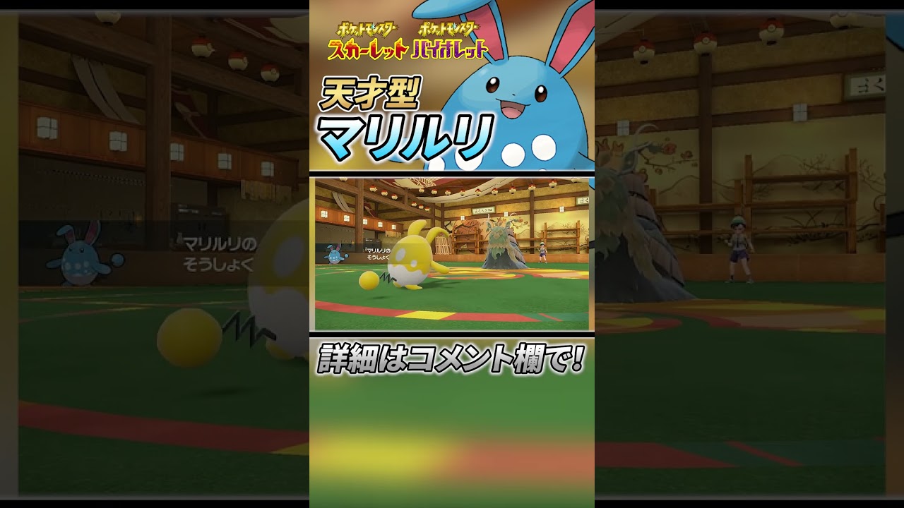 【マリルリ育成論】天才型！伝説ポケモンもなぎ倒すマリルリのご紹介！ #ポケモンsv #ポケモンスカーレットバイオレット #shorts