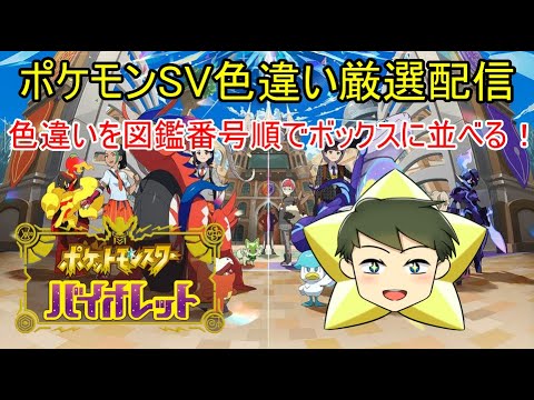 【ポケモンSV配信】色違いを図番番号順にボックスに並べるため、色違い厳選配信【VTuber】