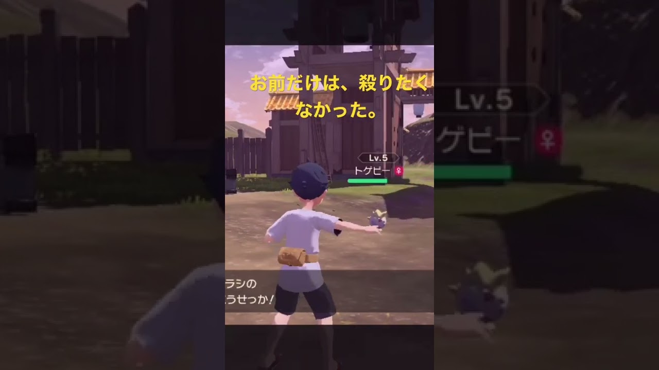［ポケモンレジェンドアルセウス］　トゲピーだけは殺りたくなかった．#ポケモンレジェンドアルセウス#pokémonlegendsarceus #アルセウス#ポケモンアルセウス#Switch