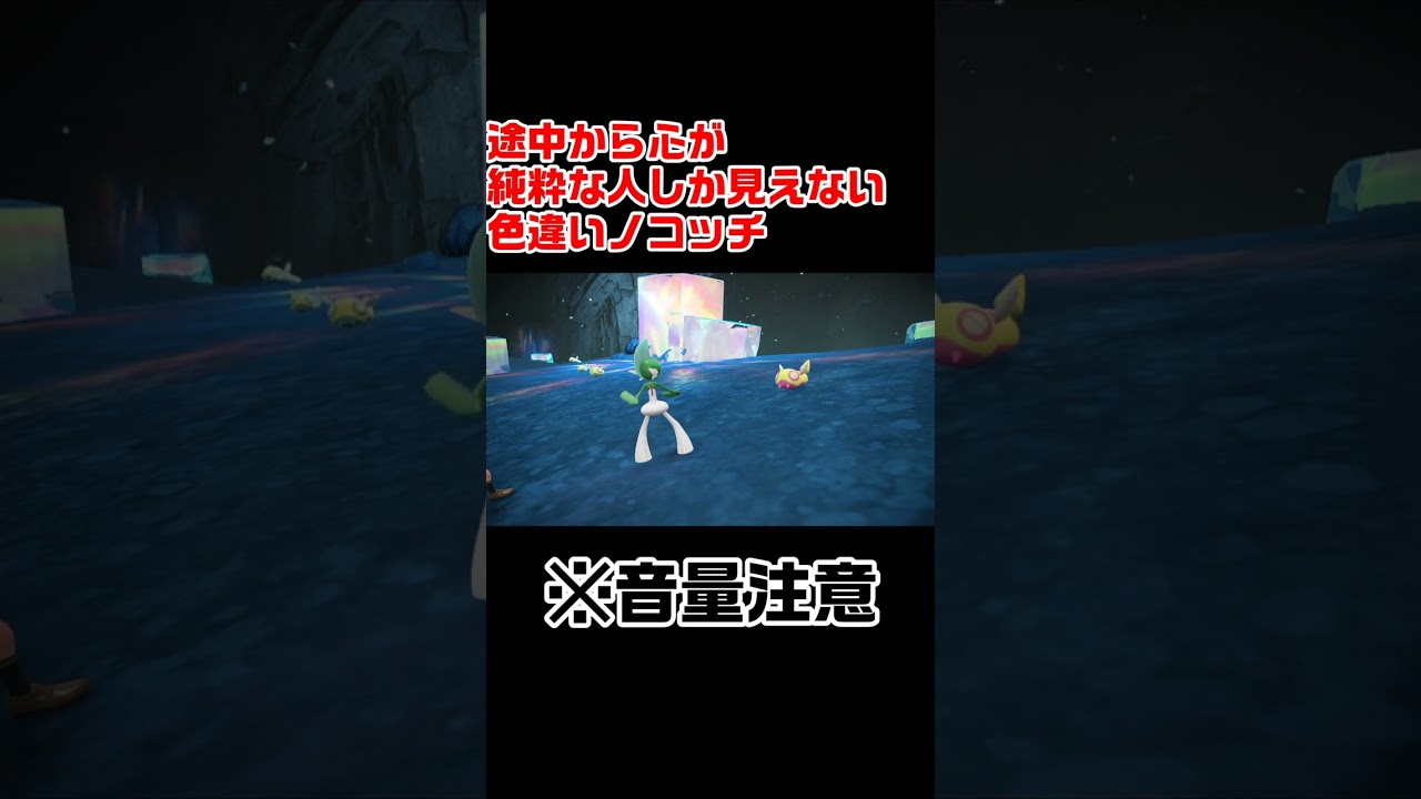 途中から心が純粋な人しか見えなくなる色違いノコッチ【ポケモンSV】【ポケモンスカーレット・バイオレット】 #Shorts