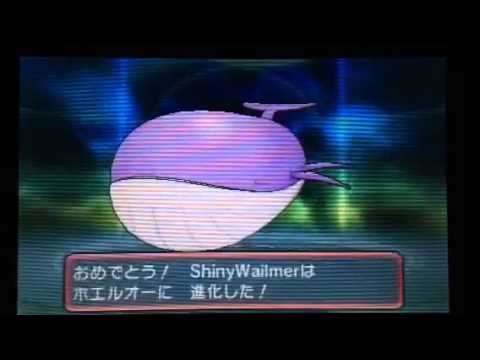 ポケモン色違いホエルコ進化☆