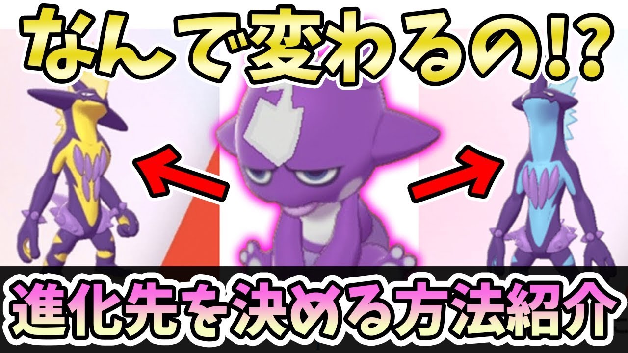 【ポケモンソードシールド】なんで姿が違うの？性格によるフォルムの仕様について紹介！【ポケモン剣盾/よーくろGames】