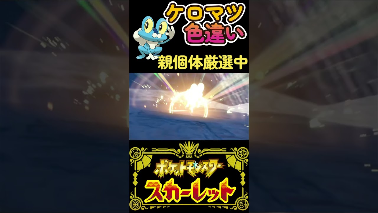 【ポケモンSV】色違いケロマツ