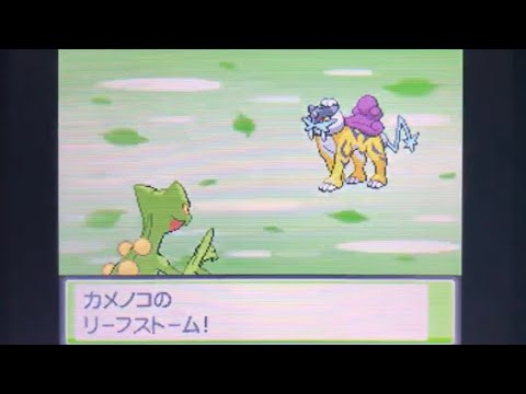 【ポケモン HGSS】バトルタワー100戦目　VS伝説厨　ジュカイン3タテ　