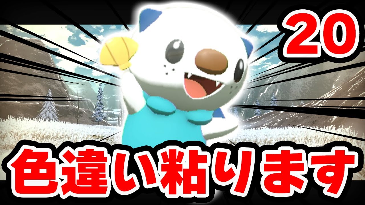 色違いミジュマルが欲しい 20【ポケモンレジェンズアルセウス】