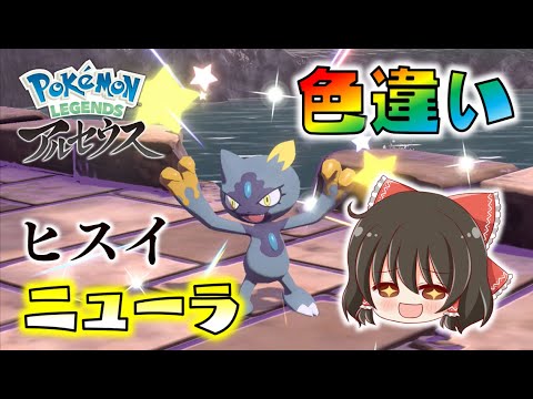 色違いニューラキタアアア！初めての大量発生で超豪運を発揮する霊夢！ゆっくり達のポケモンレジェンズアルセウス part8【Pokémon LEGENDS アルセウス】