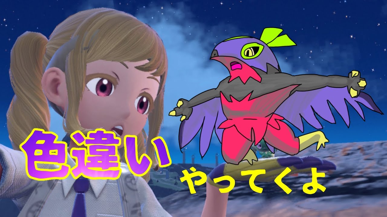 【ポケモンSV】本日の色違い探しはカヌチャン・タイレーツ・ルチャブル！レイドは早い者勝ち！【色図鑑集め中】