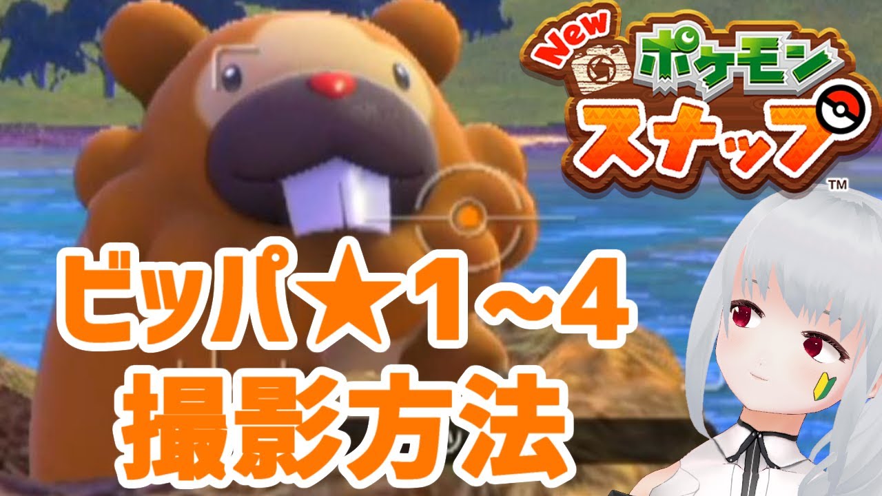 Newポケモンスナップ攻略 ビッパ ☆1/☆2/☆3/☆4 撮影方法解説！