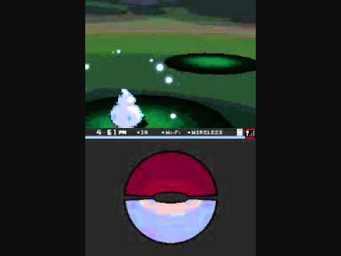 ワイルドタマゲタケ