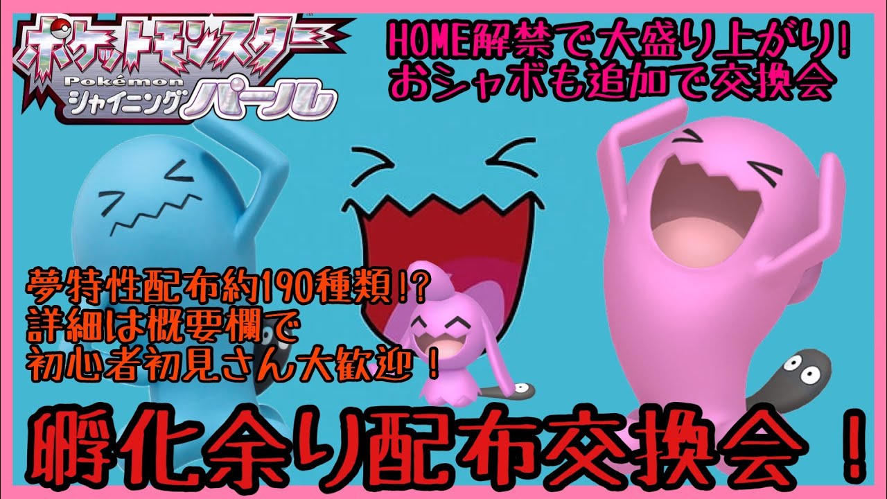 カポエラー争奪戦勃発！！ソードシールドのボールも入荷！第290回目孵化余り配布交換会！（渡せるポケモン・アイテムの詳細は概要欄にて）ポケモンBDSP　ダイパリメイク