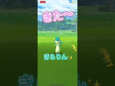 【ポケモンＧＯ】色違いGET記録  ツタージャ　#Shorts