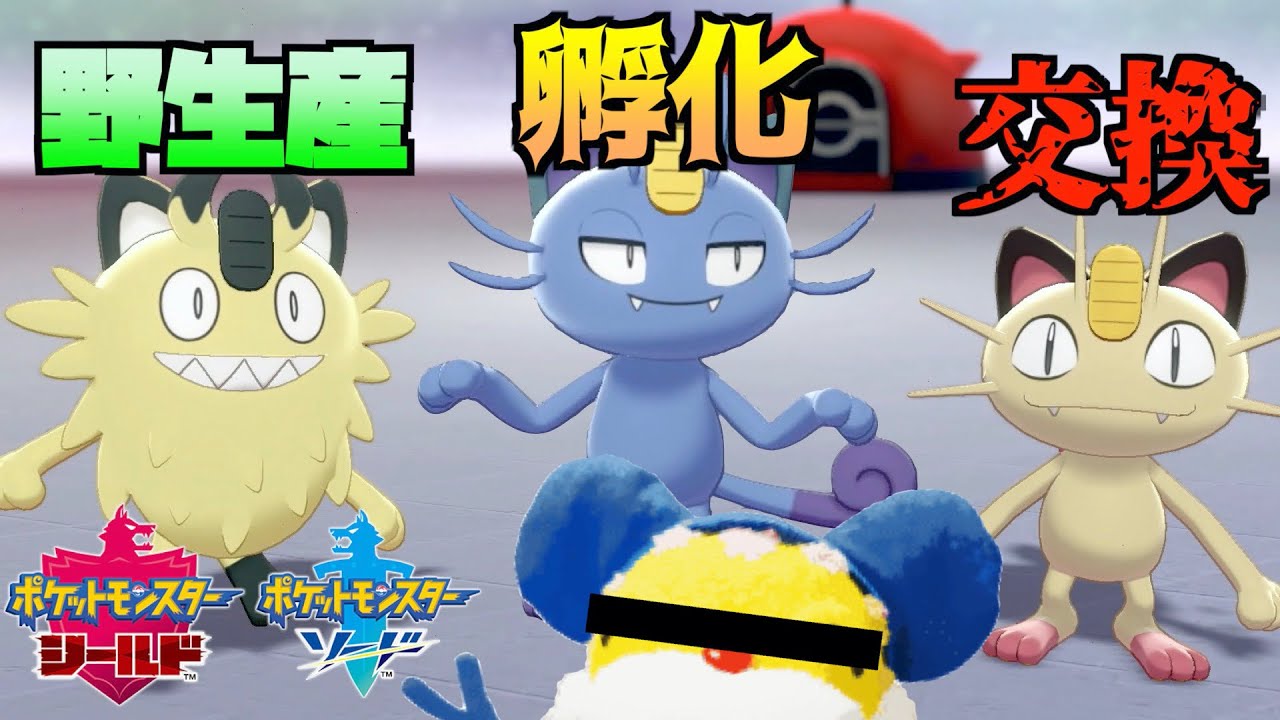 【ポケモン剣盾】ニャン◯ゅうが色違いニャースを厳選するそうです