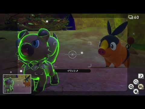 Newポケモンスナップ　★3イワンコ【5427】