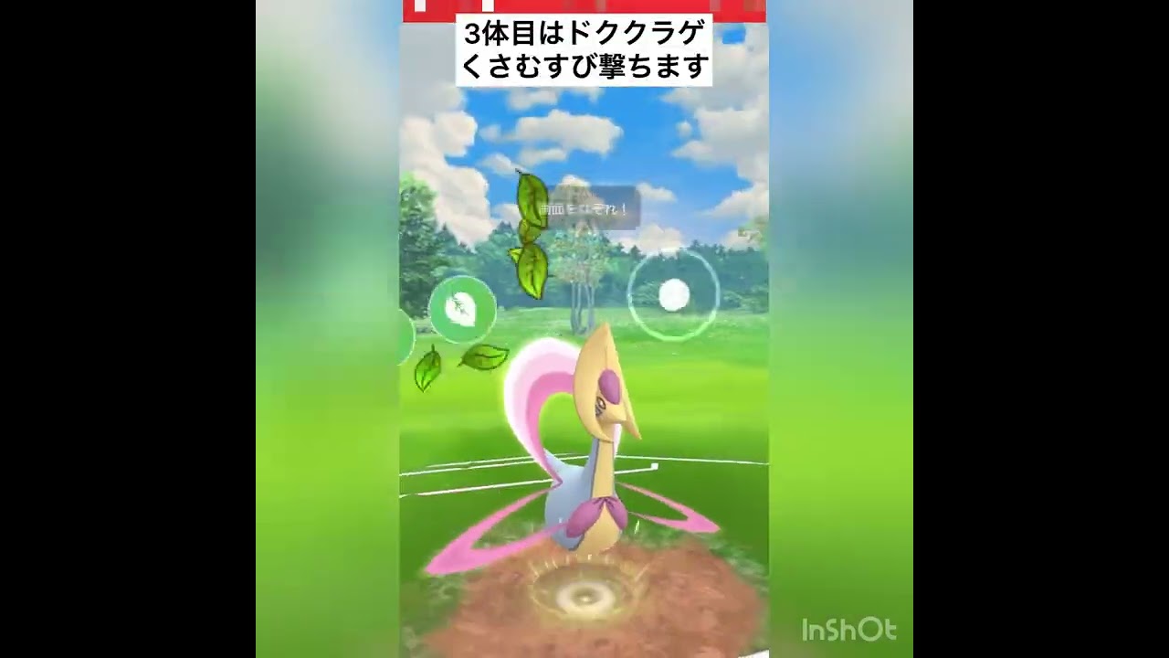 Sグライオンが活躍してくれた‼️