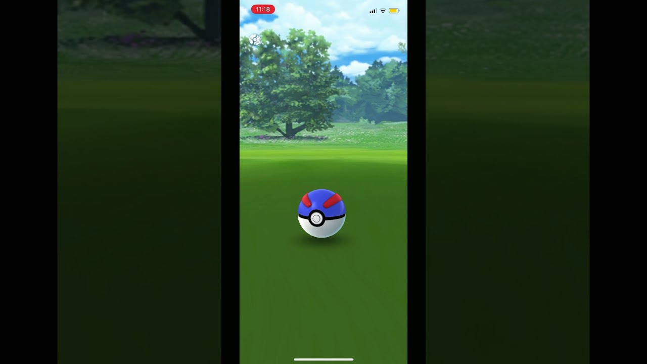 色違いコリンク現る