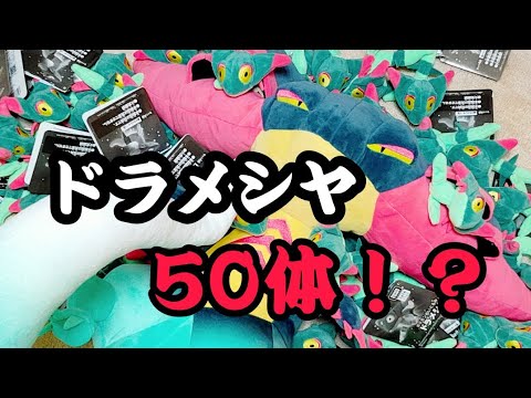 全長100cmのドラパルトとドラメシヤ50体セット購入！【ポケモンぬいぐるみ】
