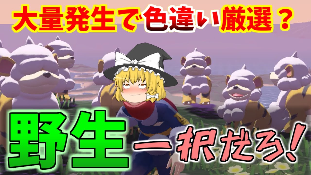 【ポケモン アルセウス】全く参考にならない色違いヒスイガーディ厳選【ゆっくり実況】