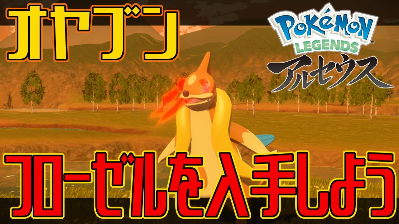 【ポケモンアルセウス】オヤブンのフローゼルを入手しよう【Pokémon LEGENDS アルセウス】