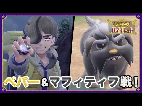 【ポケモンSV】実況Part31 ペパー&マフィティフ戦！【新ポケ&モルペコ縛りでポケットモンスター スカーレット/バイオレット】