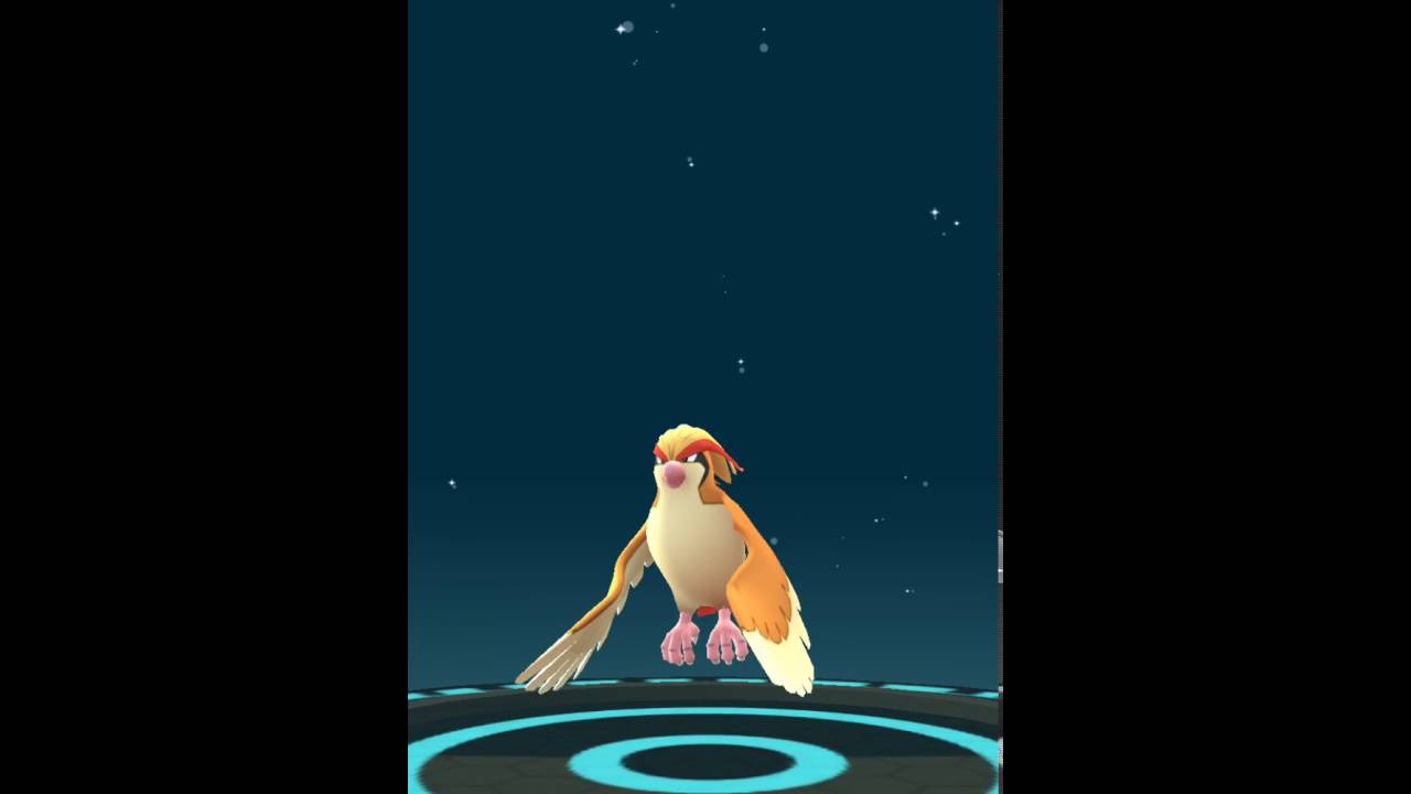 【ポケモン Go】ピジョンを進化させてみた