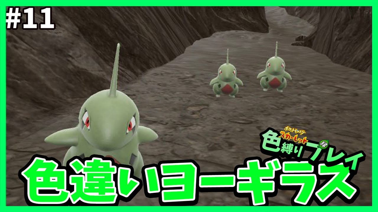 【色違い縛り】9割雑談！緑ヨーギラス厳選#11