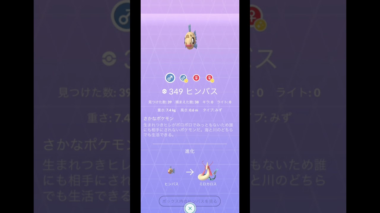 チルット/ピンバスからの〜【ダイパリメイク】色違いポケモン