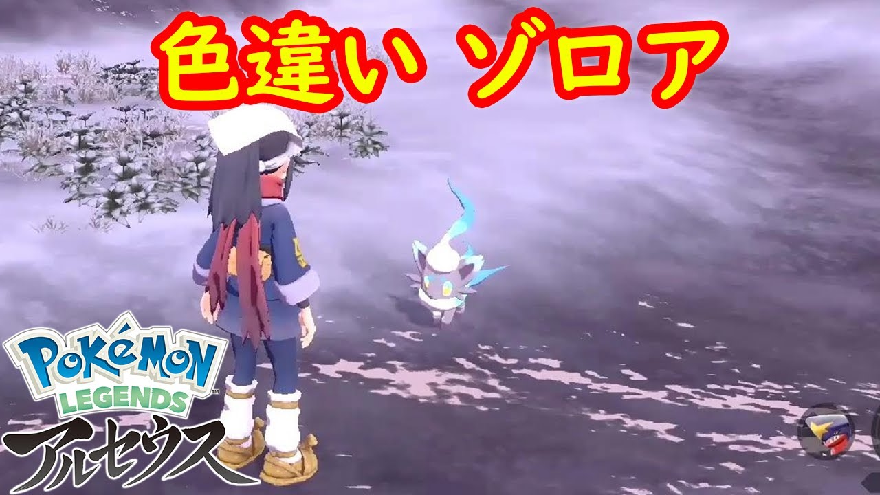 【色違い ヒスイ ゾロア】入手場所 大量発生おすすめです  【Pokémon LEGENDS アルセウス ポケモン レジェンズ アルセウス】