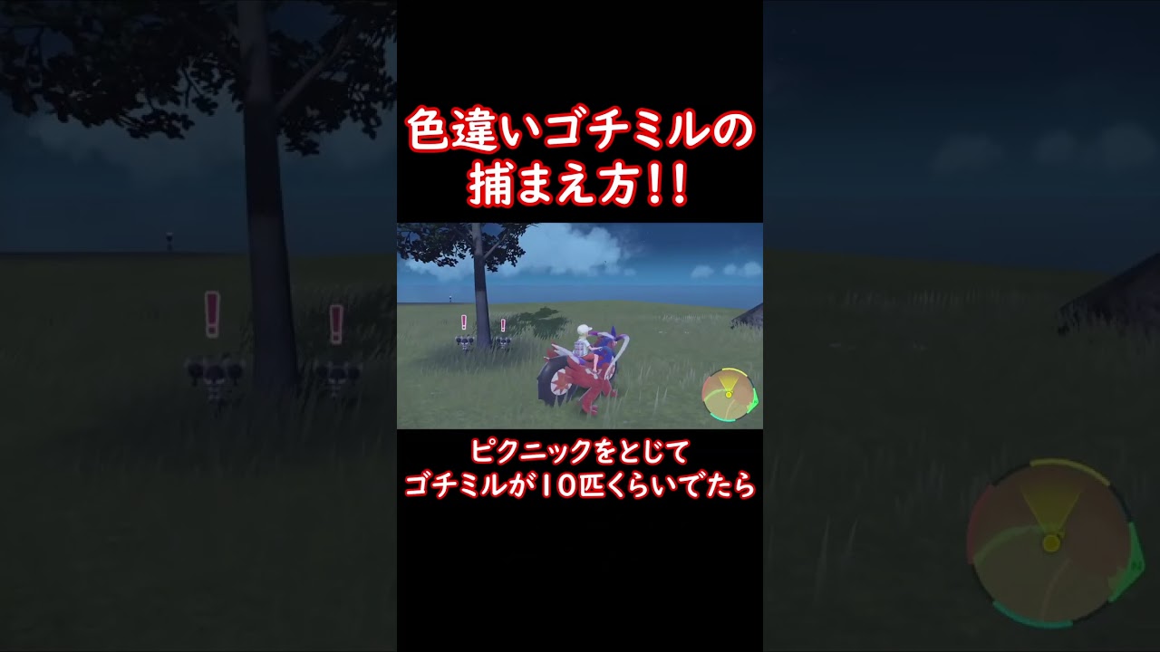 色違いゴチミルの捕まえ方！ #shorts #ポケットモンスター #ポケモンsv #ポケモン #pokemon #色違い #ゴチルゼル