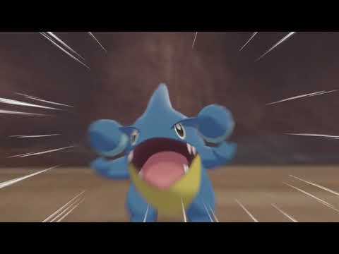 【ポケモン剣盾】フカマルの色違い